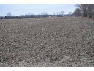 Property photo 41 - 175 Acres Offered in 5 Tracts - Tontogany, Ohio Farm Land Auction